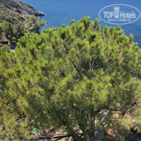 фото из отзыва ID 2740243