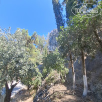 фото из отзыва ID 2740243