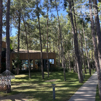 фото из отзыва ID 2740265