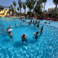 фото из отзыва ID 2740267