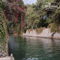 фото из отзыва ID 2740269