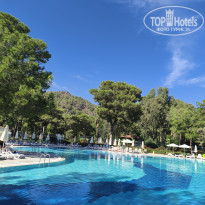 фото из отзыва ID 2740269