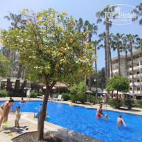 фото из отзыва ID 2740273