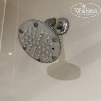 фото из отзыва ID 2740274