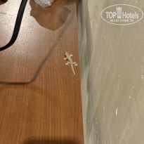 фото из отзыва ID 2740274