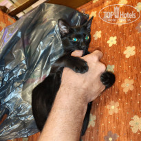 фото из отзыва ID 2740281