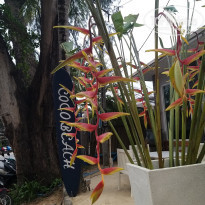 фото из отзыва ID 2740298