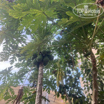 фото из отзыва ID 2740333