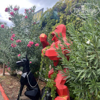 фото из отзыва ID 2740333