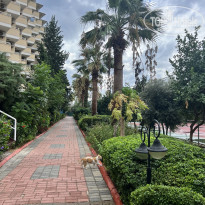 фото из отзыва ID 2740333