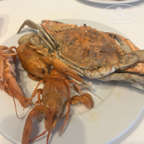 фото из отзыва ID 2740333