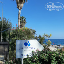 фото из отзыва ID 2740335