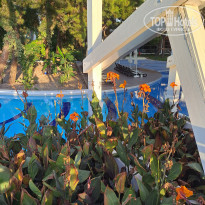 фото из отзыва ID 2740336