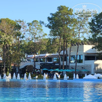 фото из отзыва ID 2740344