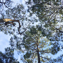 фото из отзыва ID 2740344