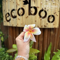 фото из отзыва ID 2740347