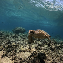 фото из отзыва ID 2740347