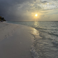 фото из отзыва ID 2740347