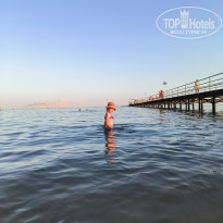 фото из отзыва ID 2740345