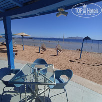 фото из отзыва ID 2740348