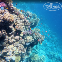 фото из отзыва ID 2740348