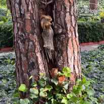 фото из отзыва ID 2740358