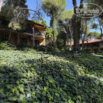 фото из отзыва ID 2740358