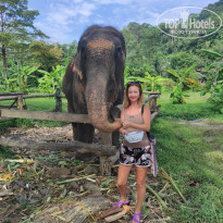 фото из отзыва ID 2740366