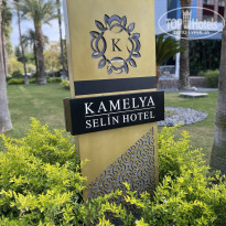 фото из отзыва ID 2740392