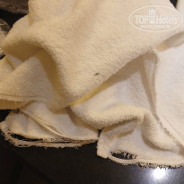 фото из отзыва ID 2740395