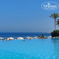 фото из отзыва ID 2740389