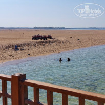 фото из отзыва ID 2740389