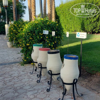 фото из отзыва ID 2740389