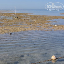 фото из отзыва ID 2740389