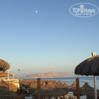 фото из отзыва ID 2740399