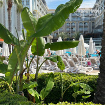 фото из отзыва ID 2740385