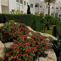 фото из отзыва ID 2740408