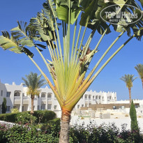 фото из отзыва ID 2740408