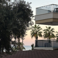 фото из отзыва ID 2740413