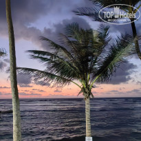 фото из отзыва ID 2740416