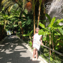 фото из отзыва ID 2740418