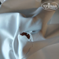 фото из отзыва ID 2740428