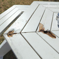 фото из отзыва ID 2740428