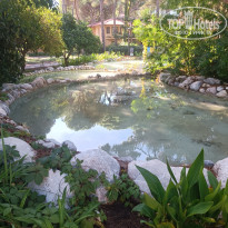 фото из отзыва ID 2740441