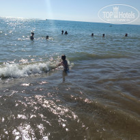 фото из отзыва ID 2740441