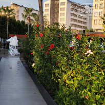 фото из отзыва ID 2740443