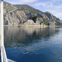 фото из отзыва ID 2740443