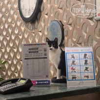 фото из отзыва ID 2740437