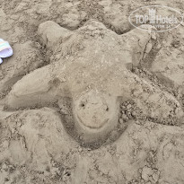 фото из отзыва ID 2740437