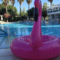 фото из отзыва ID 2740437